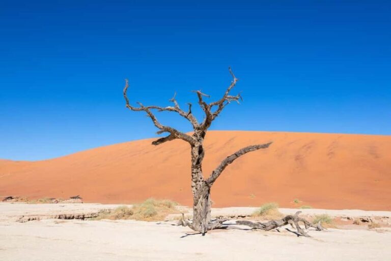 3 Day Sossusvlei | Private Guided Camping - Practical Considerations and What’s Not Included