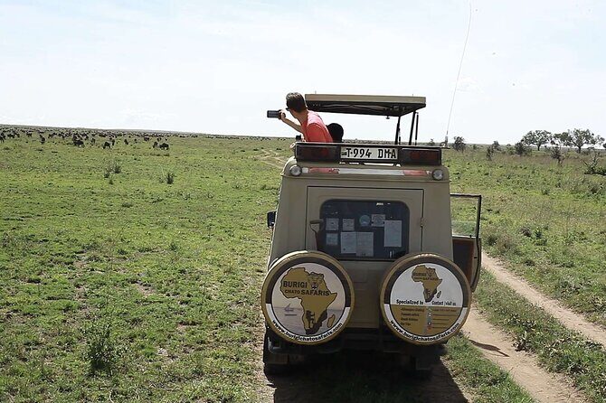 3-Day Tanzania Group Safari-Tarangire, Ngorongoro & Lake Manyara - Day 2: Ngorongoro Crater — The Caldera of Africa