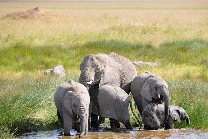 3 Day: Tarangire, Ngorongoro Crater and Lake Manyara N.P - The Value of This Tour