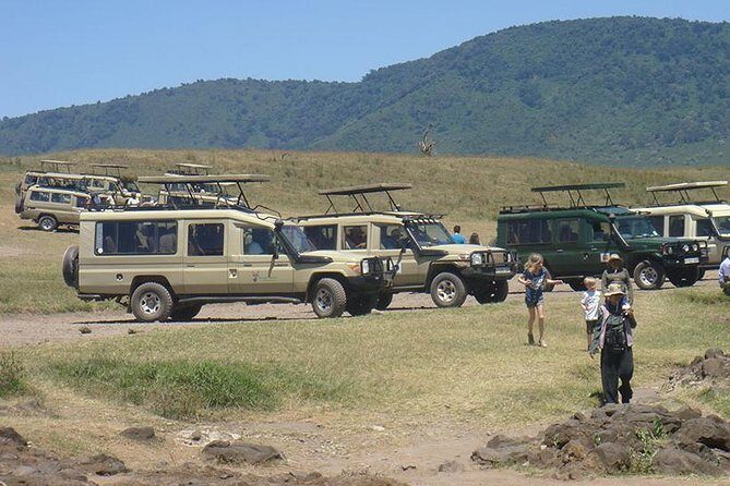 3-Day Taste of Tanzania Safari (Tarangire National park and Ngorongoro Crater) - The Sum Up