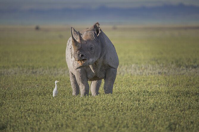 3 Day tour Tarangire, Ngorongoro crater & Lake Manyara - Why This Tour Stands Out