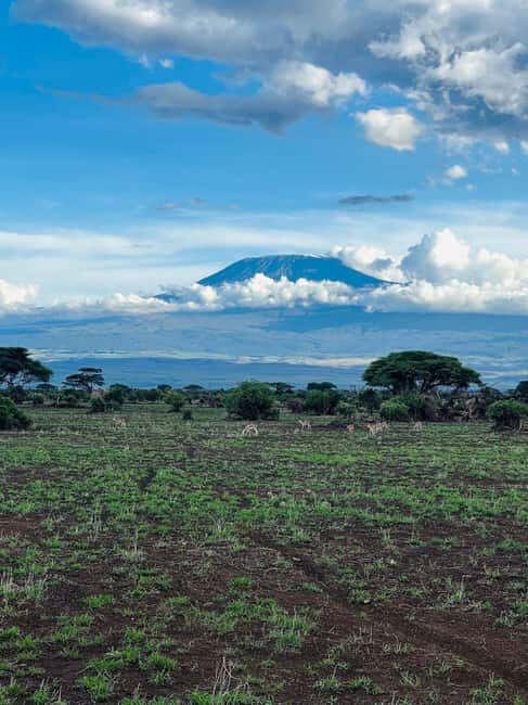 3 Days, 2 Nights Amboseli Private Budget Safari - What’s Included and What’s Not