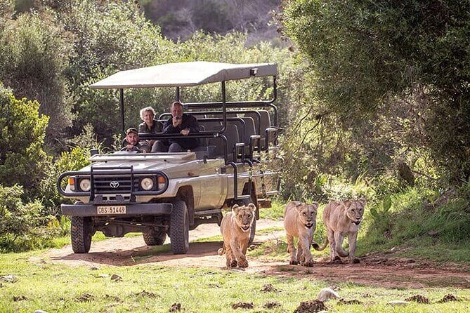 3 Days 2 Nights Garden Route Private Tour from Cape Town - Authentic Experiences and Practical Insights