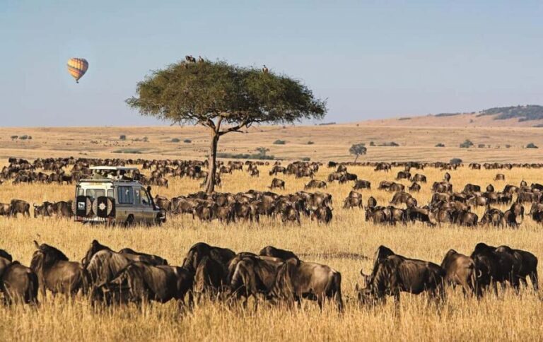 3 Days 2 Nights Private Tour in Maasai Mara - Detailed Breakdown of the Experience