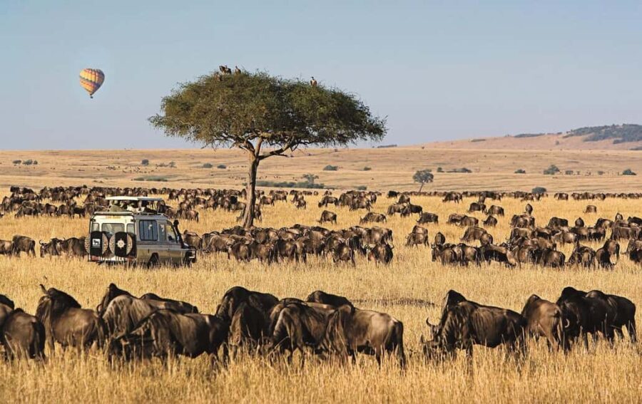 3 Days 2 Nights Private Tour in Maasai Mara - Detailed Breakdown of the Experience
