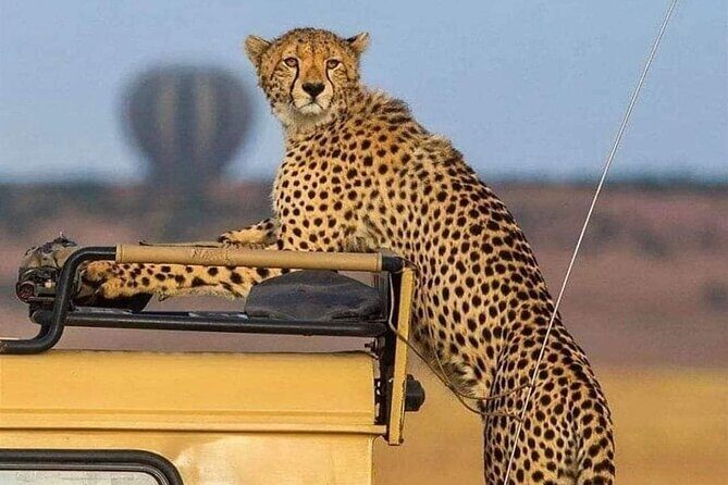 3 Days /2 nights Serengeti and Ngorongoro crater - What Does This Tour Mean for You?