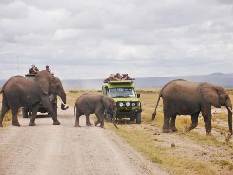 3 Days AA Lodge Amboseli National Park Safari - The Practical Side: Whats Included and What’s Not