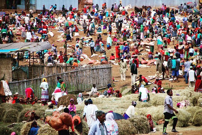 3 Days, Arba Minch, Dorze village and Konso Village - Transportation and Comfort