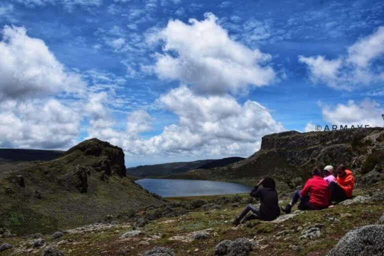 3 Days at Bale Mountains - Day 2: The Hike to Tulu Dimtu