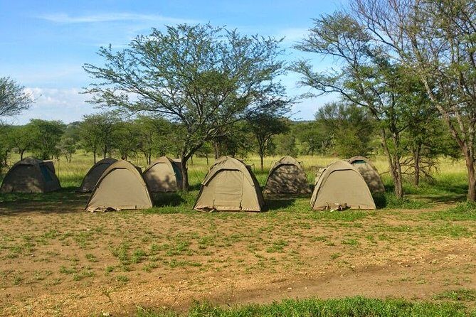 3 Days Budget Camping Safari Tour Tanzania - What’s Included and What’s Not