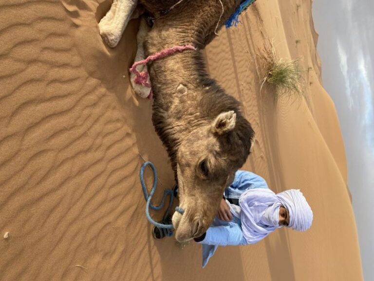 3 days Camel Trekking in Morocco Desert tour - What to Expect from the Experience