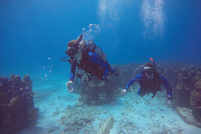 3 Days Class: SDI Open Water Diver Certification in Cancun - Analyzing the Price and Value