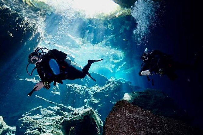 3 days diving in cenotes for certified divers - Authentic Experiences and Customer Feedback