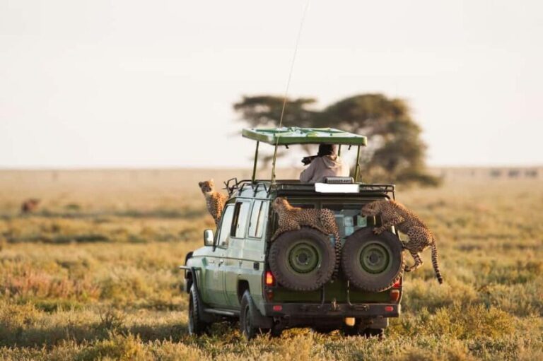 3 Days Group Joining Safari to Maasai Mara Lodge Safari - What to Expect from the Tour