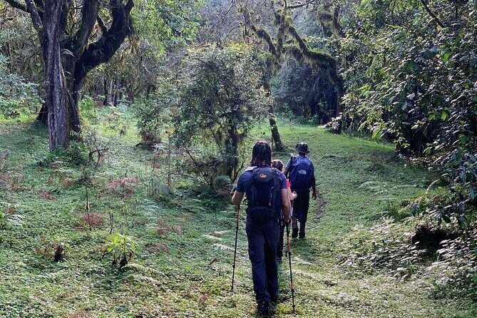 3 days hiking adventure on Mount Meru - Why Choose This Trek?