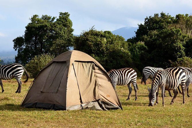 3 Days Joined Group Safari Ngorongoro,Lake Manyara and Tarangire National Park - What This Tour Means for You