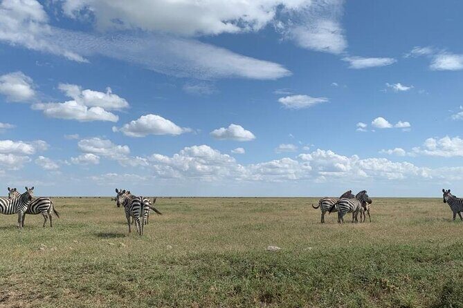 3 Days Lake Manyara, Tarangire, Ngorongoro Crater group (Camping) - What To Expect Each Day