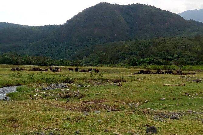 3 Days Mount Meru Trek - What Makes This Tour Stand Out