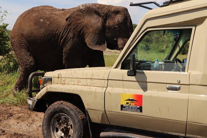 3 Days Private Safari - manyara, Ngorongoro & Tarangire - Transportation & Group Size
