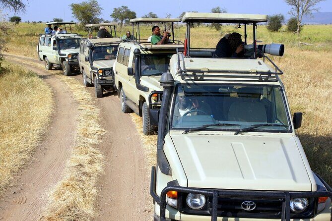 3 Days Safari Tour to Serengeti National Park - What’s Included and What’s Not