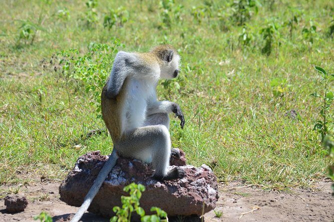 3 Days Serengeti & Ngorongoro Lodge Safari - Transportation, Accommodation, and Group Size