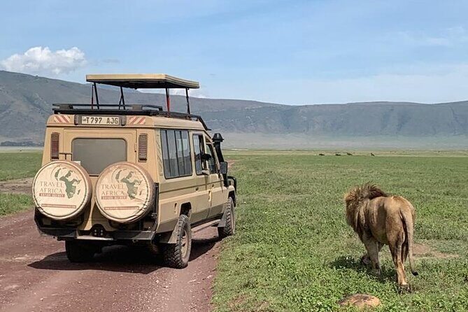 3 Days Small Group Safari to Serengeti NP and Ngorongoro Crater Tour in Tanzania - What Makes This Safari Special?