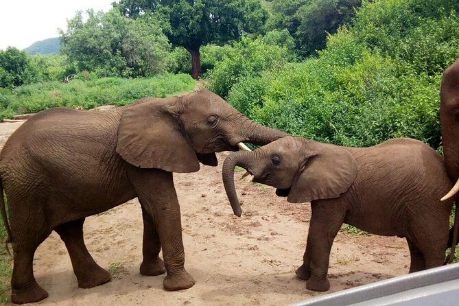 3 - Days Tanzania Wildlife Safari - Day 2: The Majestic Ngorongoro Crater