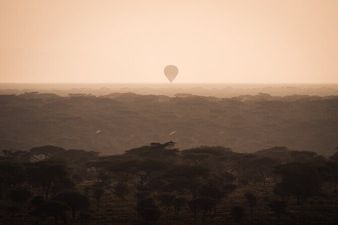 3 days to Serengeti NP and Ngorongoro Crater Tour in Tanzania - The Sum Up: Is This Tour Right for You?