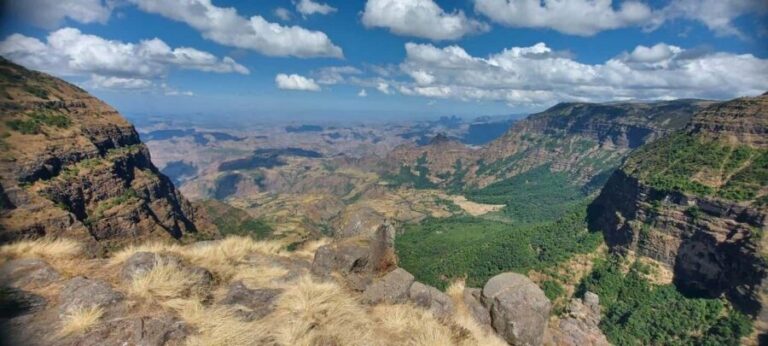 3 Days Trekking & Wildlife Spotting in the Simien Mountains - What Makes This Tour Stand Out?