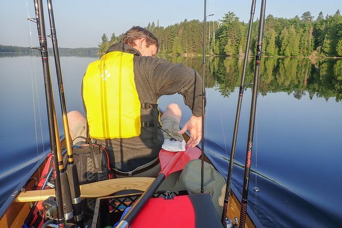 3 Hour Algonquin Park Bass & Trout Fishing (private- price is for 1 or 2 people) - The Equipment and Environment