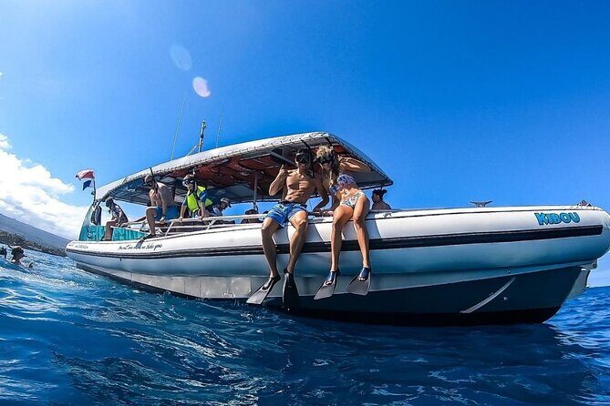 3 Hour Big Island Dolphin Watch Boat Tour, Snorkeling & BBQ Lunch - Who Should Take This Tour?