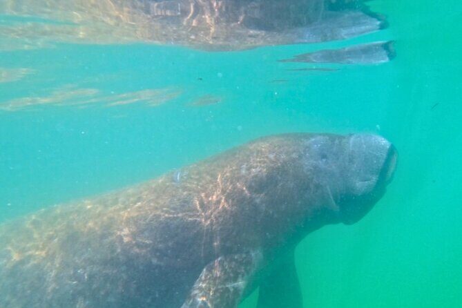 3-Hour Clear Kayak Beach Hopping Adventure in Sarasota - The Itinerary in Detail