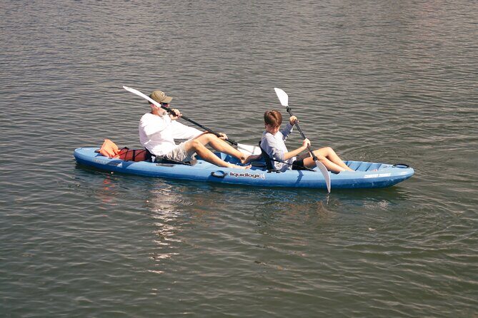 3 Hour Double Kayak Rental - Wildlife Encounters and Scenic Views