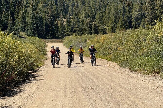 3-Hour E-Bike Tour of Trail of the Silver Kings (Old Mine Tour) - Who Will Love This Tour?