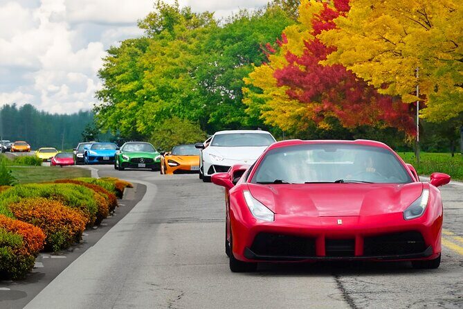 3 Hour Exotic car Tour driving 4 to 5 Super cars - The Cars and How They Feel