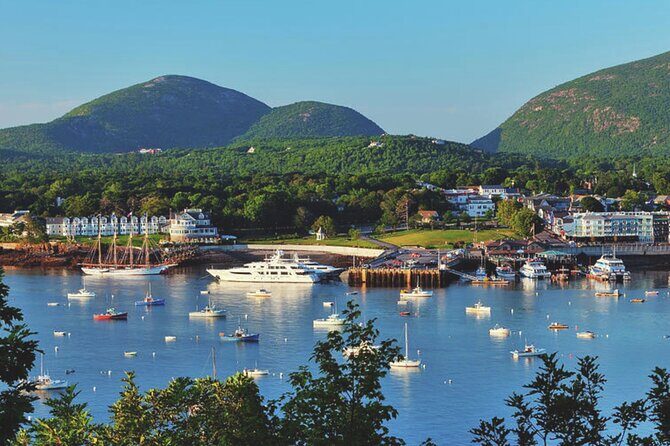3 Hour Fiord, Mansions, Rocky Coastline - Who Should Consider This Tour?