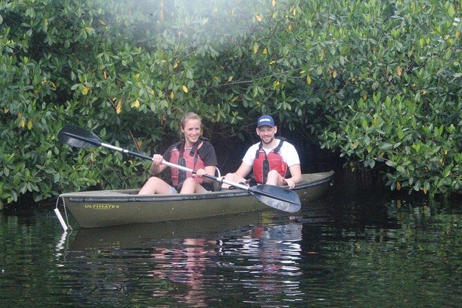 3 Hour Guided Mangrove Tunnel Kayak Eco Tour - The Experience’s Value: Price and Beyond
