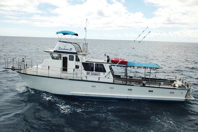 3-Hour Honolulu Bottom Fishing Adventure - The Highlights and Challenges