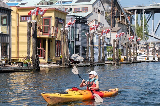 3 Hour Kayak in Vancouver with Coffee on the Beach - In The Sum Up: Who Will Love This Tour?