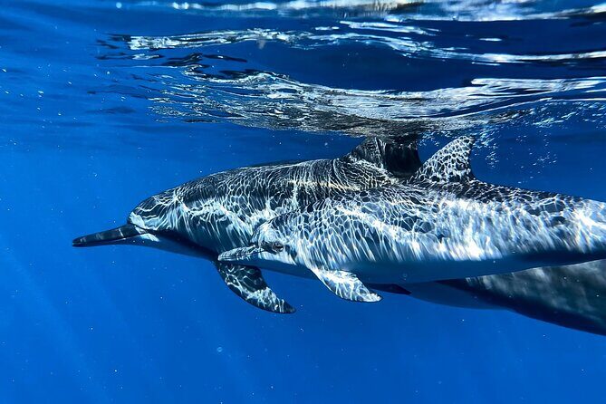 3-Hour Luxury Private Custom Charter - Who Should Consider This Tour?
