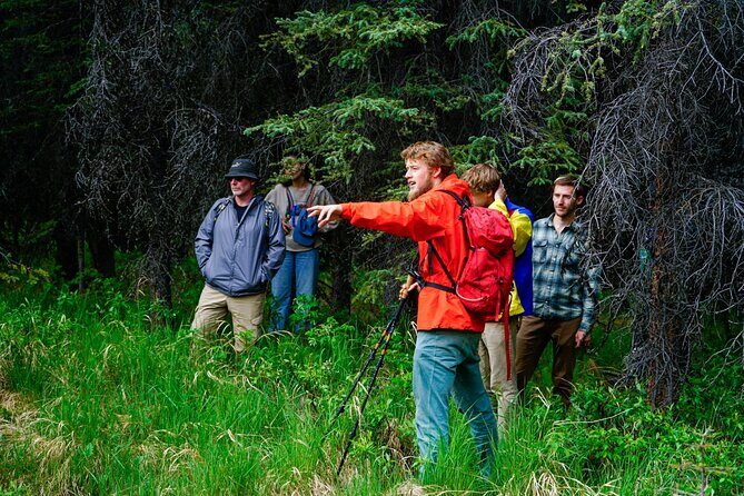 3 Hour Naturalist Walking Tour in Denali National Park - Who Should Consider This Tour?