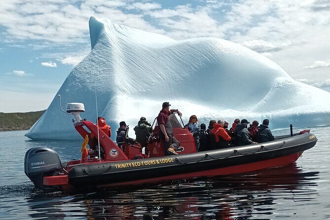 3 Hour Ocean Safari by Zodiac Boat -Whales & Icebergs seasonally - FAQs