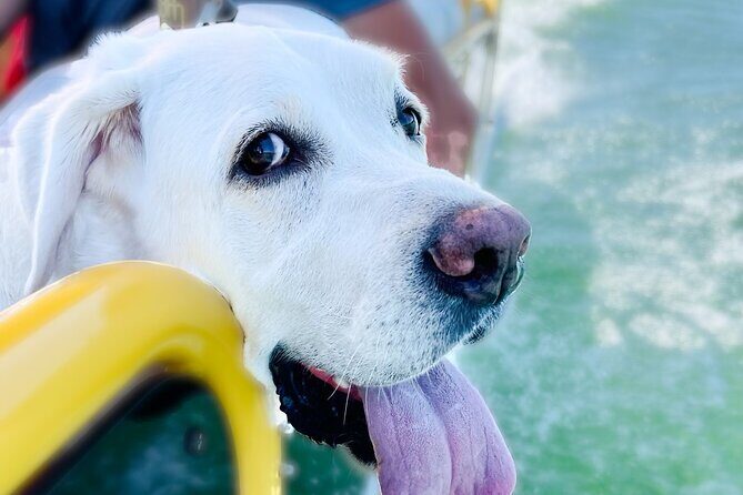 3 Hour Private Boat Charter on Lake Travis for up to 12 People - What Does the 3-Hour Itinerary Entail?