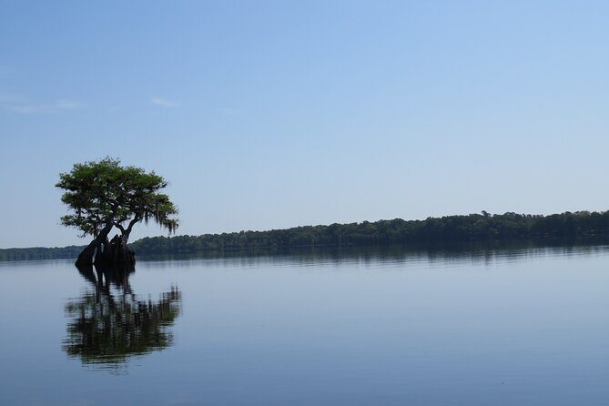 3 Hour Small Group Lake Norris Kayak Activity - The Sum Up: Who Will Love This Tour?
