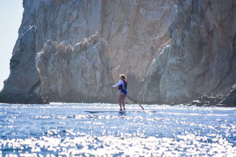 3-Hour Stand up Paddle and Snorkel at Los Cabos - A Closer Look at the Tour Experience