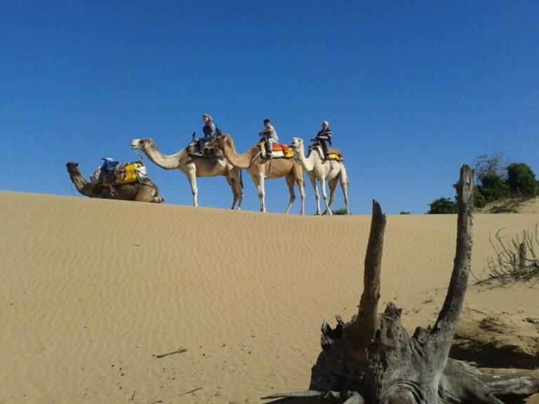 3-Hours Dromedary Ride Essaouira, Morocco - Why This Tour Is Worth Considering