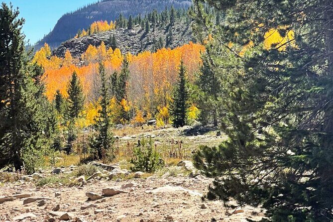 3 Hours Off-Road Adventure - Who Should Consider This Tour?