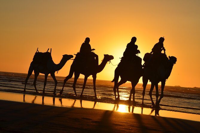 3 hours ride on camel at sunset - Exploring the Historical Sights