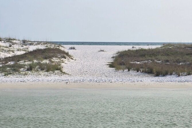 3 Hours Shell Island Experience - What Makes the 3-Hour Shell Island Experience Stand Out?