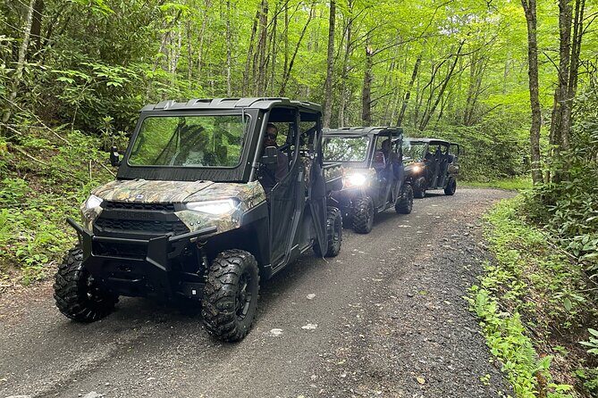(3 HR) Guided Scenic UTV Adventure - The Experience: A Day in the Mountains